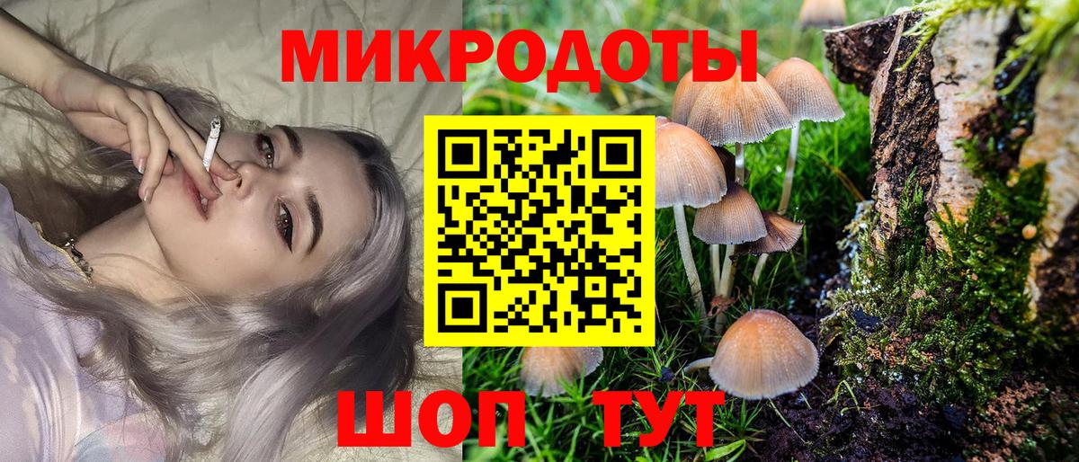 Псилоцибиновые грибы ЛСД Сальск