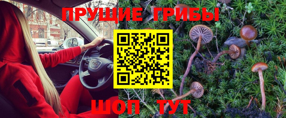 Сальск  Галлюциногенные грибы Psilocybe  Псилоцибиновые грибы GOLDEN TEACHER  Вход с VPN 